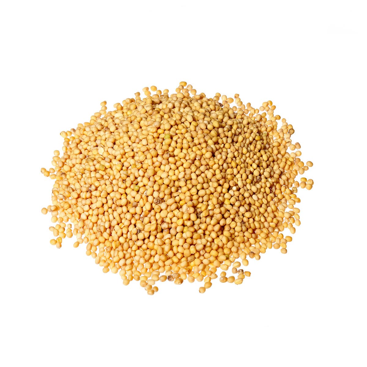 Seminte De Mustar Macinate