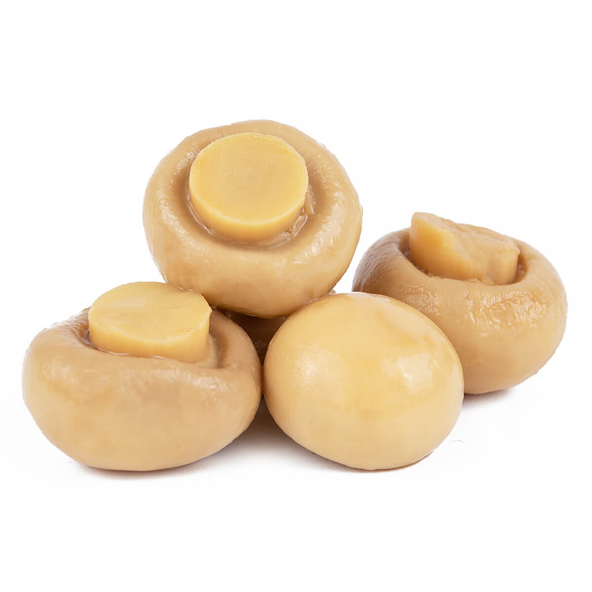 Ciuperci Champignon Gatite