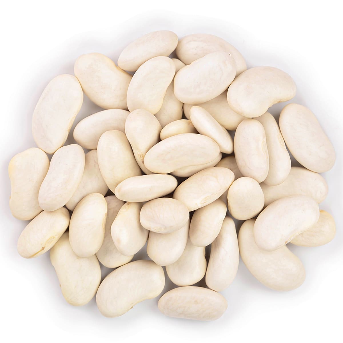 Conserva Fasole Alba