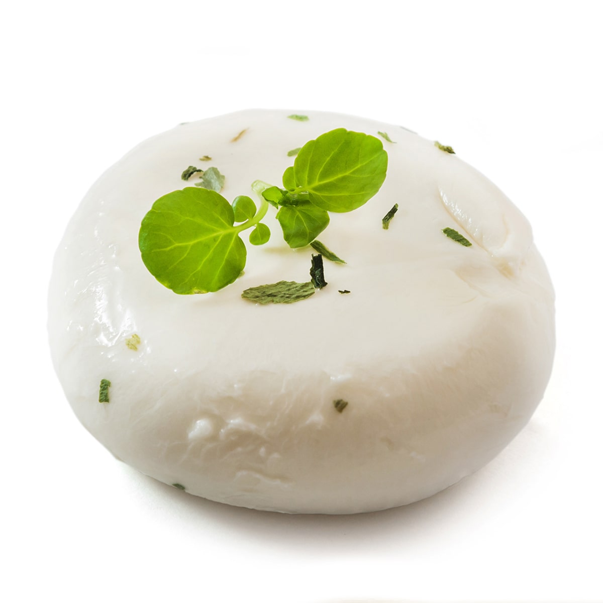 Mozzarella Bocconcino