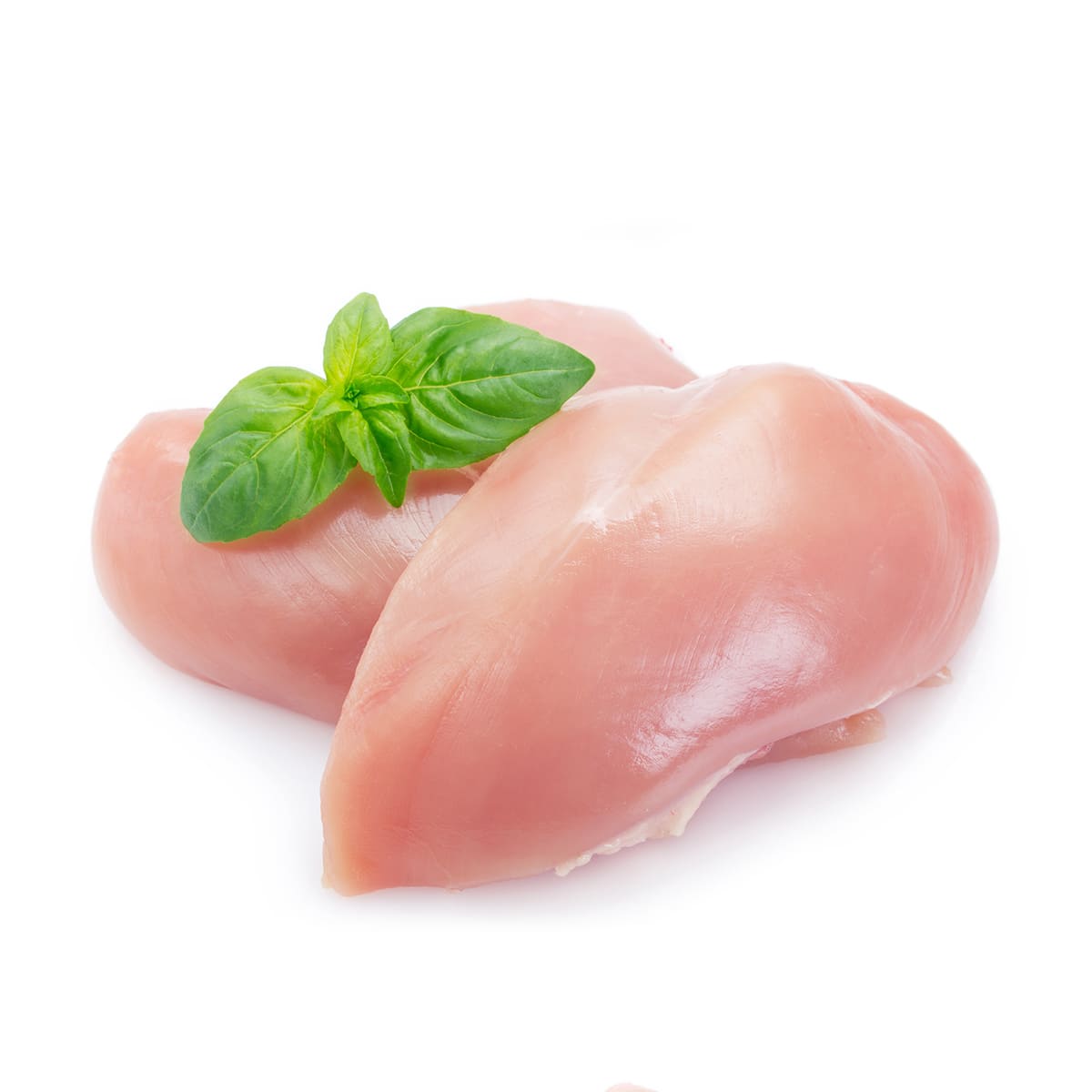 Piept De Curcan File